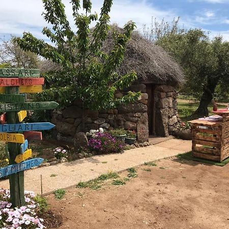 Azienda Agricola Affittacamere S'Ispinalba Di Laura Pitzolu Borore Bagian luar foto