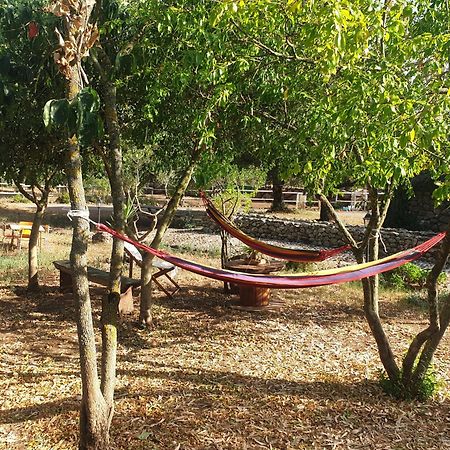 Azienda Agricola Affittacamere S'Ispinalba Di Laura Pitzolu Borore Bagian luar foto