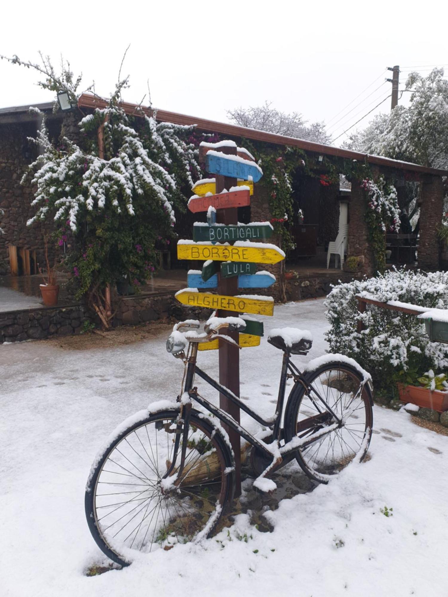 Azienda Agricola Affittacamere S'Ispinalba Di Laura Pitzolu Borore Bagian luar foto