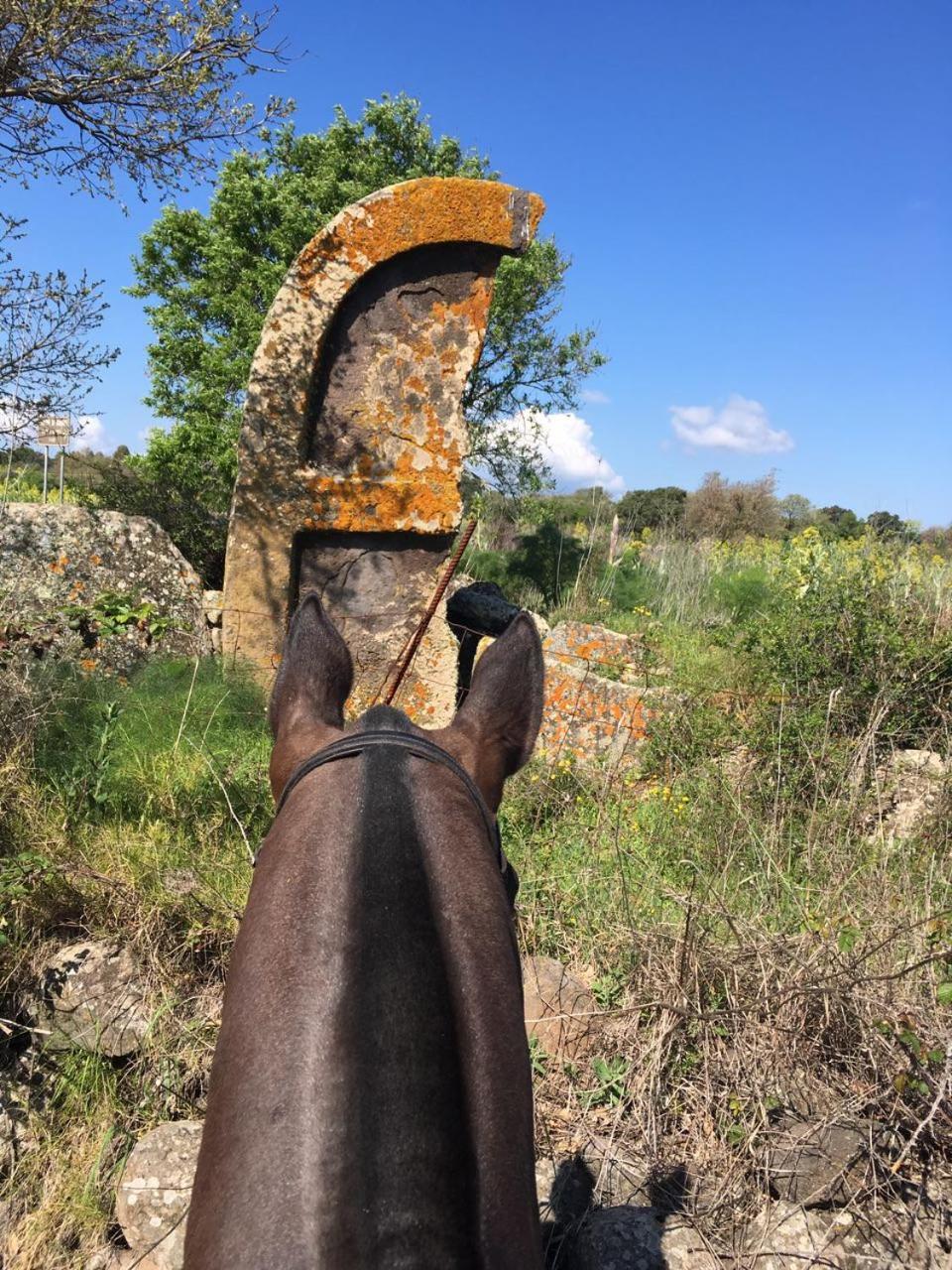 Azienda Agricola Affittacamere S'Ispinalba Di Laura Pitzolu Borore Bagian luar foto