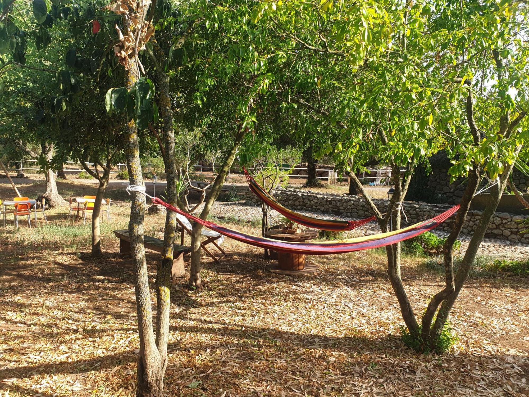 Azienda Agricola Affittacamere S'Ispinalba Di Laura Pitzolu Borore Bagian luar foto